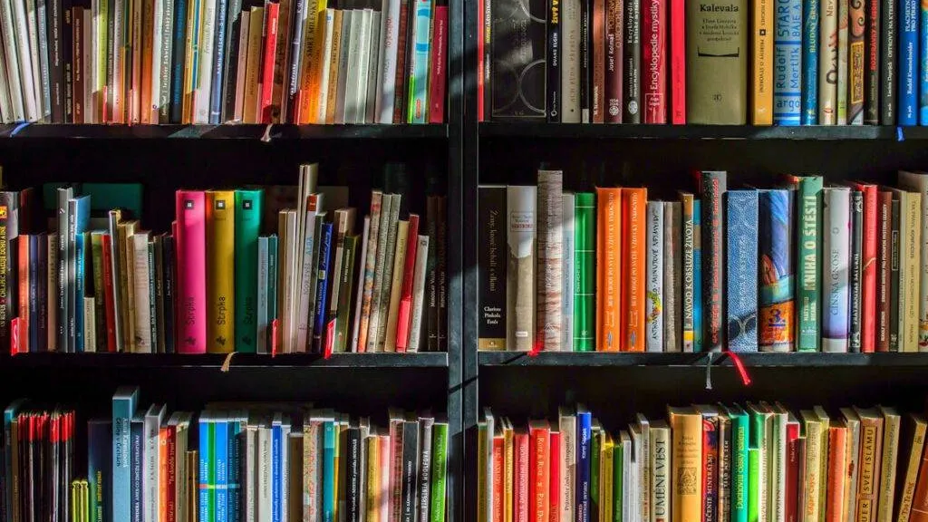 Shelves filled with books